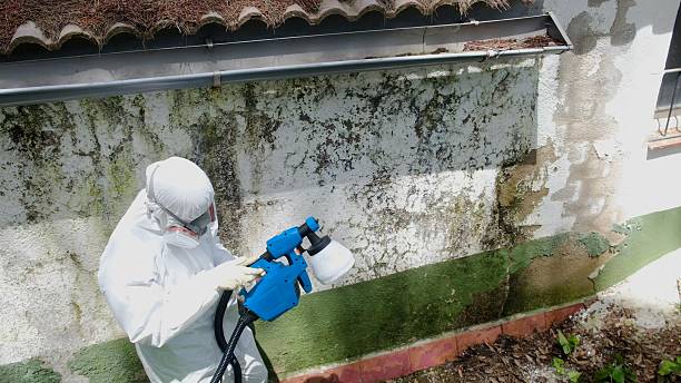 Mold Remediation service in Port Royal, Port Royal, PA